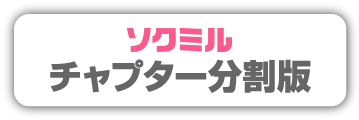 SOKMIL.comでチャプター分割版動画を購入する